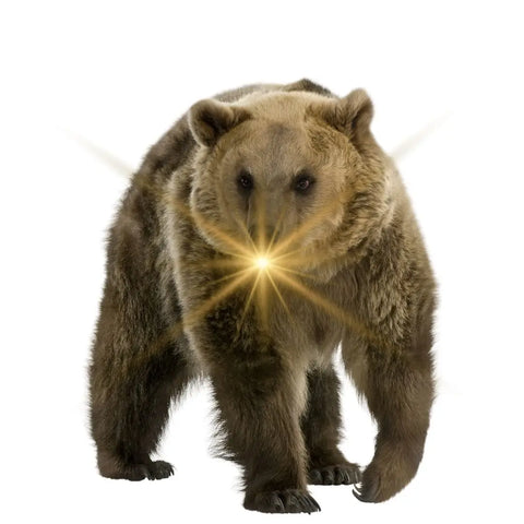 Jouluinen satu