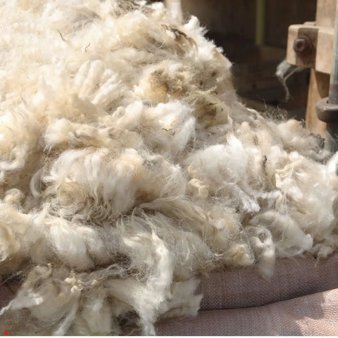 Wool itches, what can I do to help?
